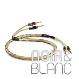 Disponible maintenant - Câbles Haut-parleurs QED Golden Anniversary XT Speaker Cable