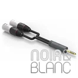 Prix cassé | Câble XLR iFi Audio 4.4 mm-XLR Cable SE
