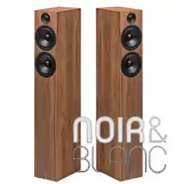 Enceintes colonne Pro-Ject Speaker Box 15 DS2 | Livraison express