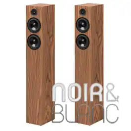 Enceintes colonne Pro-Ject Speaker Box 10 S2 - Cette semaine uniquement