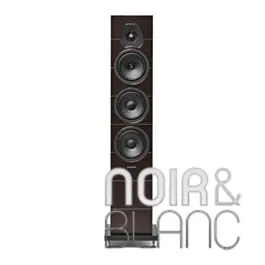 Enceintes colonne Sonus Faber Lumina III | Disponible maintenant