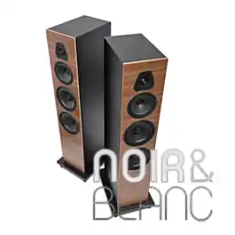 Tendance | Enceintes colonne Sonus Faber Lumina V