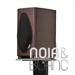Aujourd'hui seulement - Enceintes bibliothèque Sonus Faber Sonetto I G2