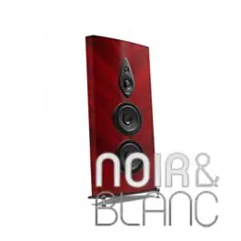 Enceintes colonne Sonus Faber Stradivari G2 - Promo exceptionnelle