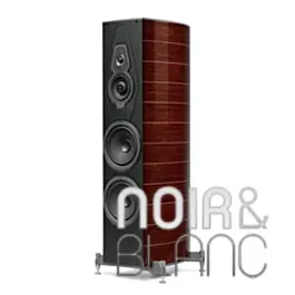 Prix exceptionnel - Enceintes colonne Sonus Faber Amati G5