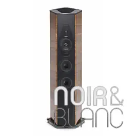 Enceintes colonne Sonus Faber Il Cremonese | Nouveau chez nous