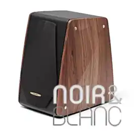 Enceintes bibliothèque Sonus Faber Concertino G4 - Meilleure vente