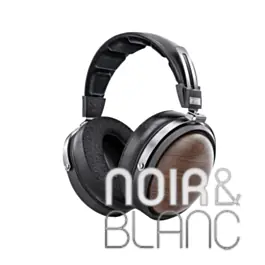 Casques audio Fiio FT1 | Meilleur prix