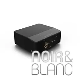 Lecteurs réseau Bluesound Node Icon | Remise supplémentaire