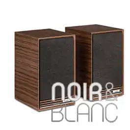 Prix spécial | Enceintes bibliothèque Ruark Audio Sabre - R