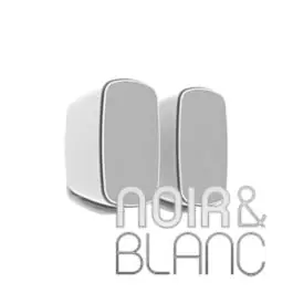Très apprécié des clients - Enceintes Monitor Audio Climate CL2 M