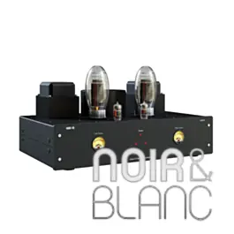 Amplificateurs LAB 12 SUONO MK2 Toroid | Tout juste ajouté