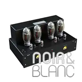 Profitez-en - Amplificateurs LAB 12 Suara MK2 Toroid