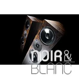 Living Voice Auditorium IBX-RW4 Santos Rosewood ex-Démo - Prix mini