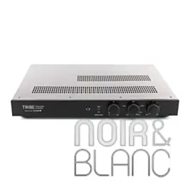 Incontournable | Amplificateurs Totem Tribe Sub Amp