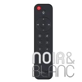 Télécommande Wiim Voice Remote | Stock presque épuisé