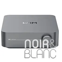 Amplificateurs Wiim Amp - Disponible maintenant
