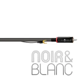 Bon prix | Câble platine vinyle Wireworld Equinox 10 Tonearm Cable
