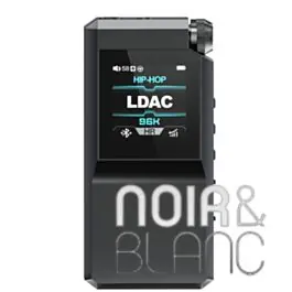 DAC Fiio BTR17 - Achat sécurisé