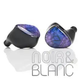 Affaire à saisir | Écouteurs Noble Audio Knight