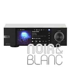 Très bien noté - Streamers Eversolo DMP-A6 MKII