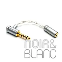 Achetez en ligne - Câbles audio iBasso CA04