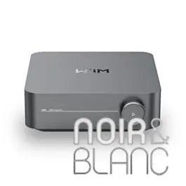 Amplificateurs Wiim Amp Pro | Prix avantageux