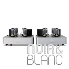 Amplificateurs Fezz Olympia Mono Power Amplifier | Tendance
