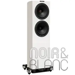 Enceintes colonne Fyne Audio F703SP - Prix avantageux