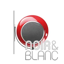 Produit phare - Accessoires Elipson Support Mural Planet L