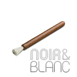 Accessoires Pro-Ject Broom it | Offre exclusive
