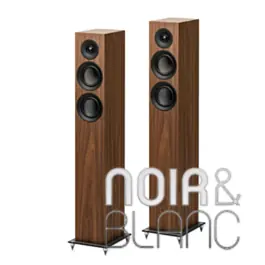 Aujourd'hui seulement - Enceintes colonne Pro-Ject Speaker Box 10 E Carbon