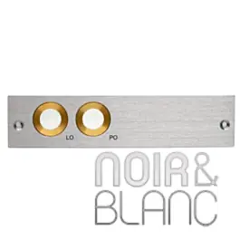 Envoi rapide | Accessoires iBasso Dual 4.4mm Faceplate (DX340)