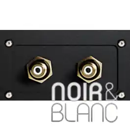 Super prix - DAC Innuos Performance DAC Board
