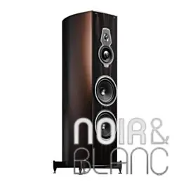 Déstockage - Enceintes colonne Sonus Faber Amati Folgore Limited Edition