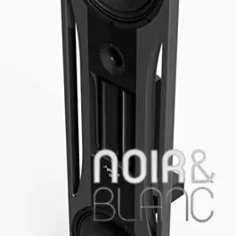 Prêt à expédier - Enceintes colonne AudioNec OBi MID Black Edition