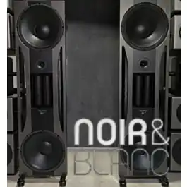 Prix réduit - Enceintes colonne AudioNec OBi MAX Black Edition