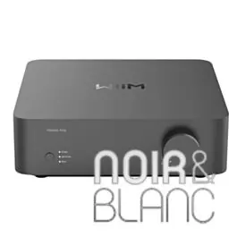 Qualité premium | Amplificateurs Wiim Vibelink Amp
