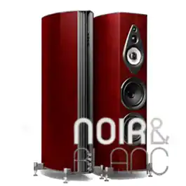 Expédition express | Enceintes colonne Sonus Faber Amati Supreme