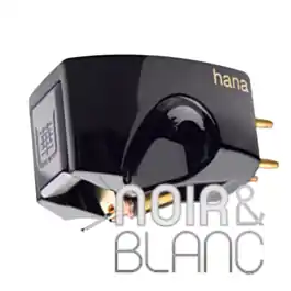 Cellules Hana Umami Black | Coup de cœur des clients