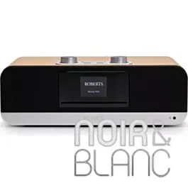 Promotion | Chaînes Hi-Fi Roberts Blutune 300
