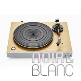 Haute qualité | Platines vinyles Roberts Stylus Luxe