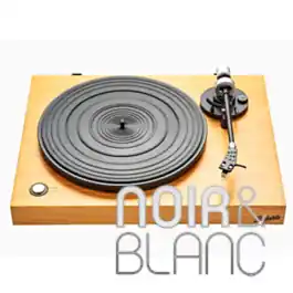 Platines vinyles Roberts Stylus | Prix avantageux