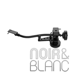 Livraison rapide - Bras de lecture Pro-Ject EVO 9 AS