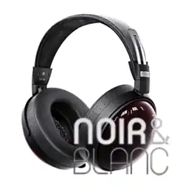 Très populaire | Casques audio Fiio FT13