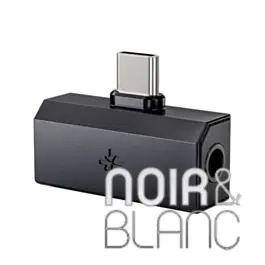 Coup de cœur des clients | Amplis casques Fiio Snowsky TINY B