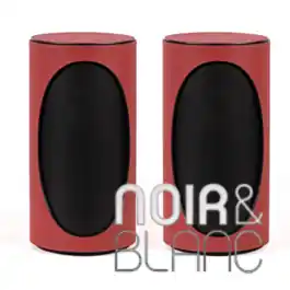Ecouteurs Bluetooth Geneva Lab Duo | Prix doux
