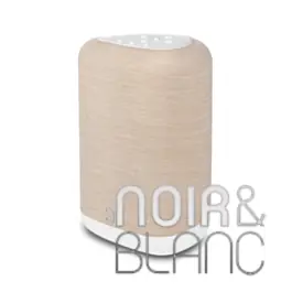 Bien noté | Enceintes sans fil Bluesound PULSE FLEX P130