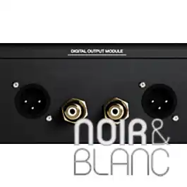 DAC Innuos PhoenixDAC Board | Ne manquez pas cette offre