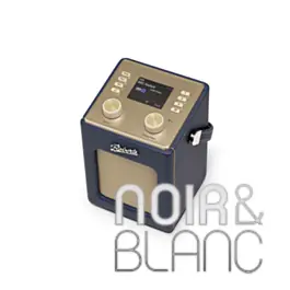 En stock | Ecouteurs Bluetooth Roberts Revival Mini 2